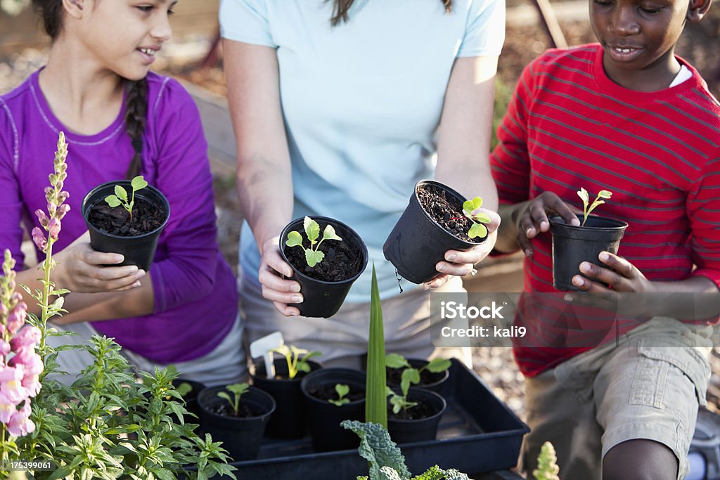 Crianças plantio mudas - Foto de stock de 10-11 Anos royalty-free
