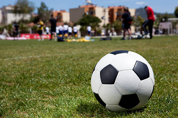 istock soccer ball on field 175399081