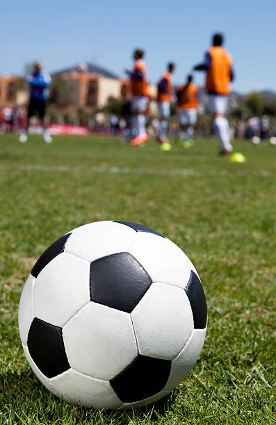istock soccer ball on field 175399083
