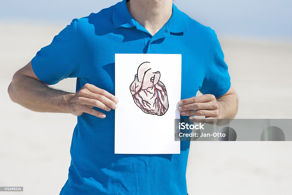 Рисунок сердца - Стоковые фото Анатомия роялти-фри