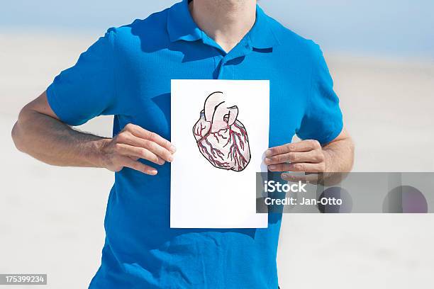Рисунок Сердца — стоковые фотографии и другие картинки Анатомия - Анатомия, Аорта, Белый