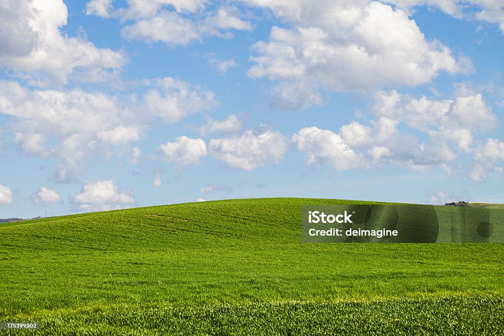Paesaggio di campi di primavera e - Foto stock royalty-free di Agricoltura