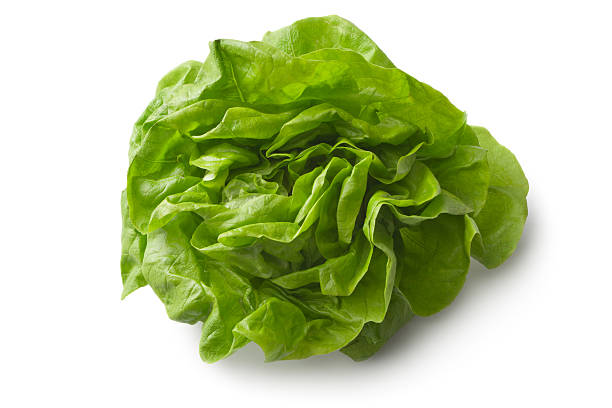 istock Vegetables: Butterhead Lettuce Isolated on White Background 175399805