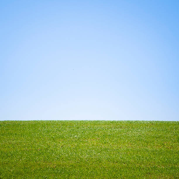istock Spring green grass land hill with clear sky 175399813