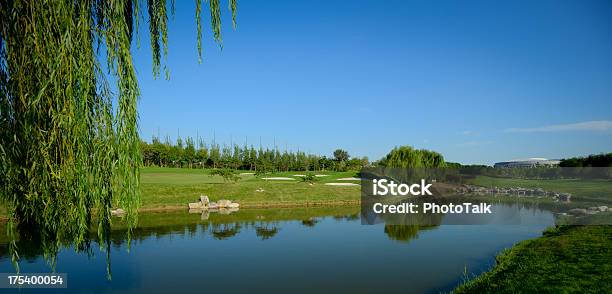 Photo libre de droit de Magnifique Parcours De Golf banque d'images et plus d'images libres de droit de Parcours de golf - Parcours de golf, Arbre, Couleur verte