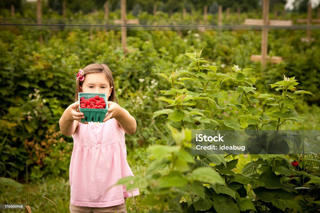 Bambina tenendo un cartone di lamponi ha trovato - Foto stock royalty-free di Bambino