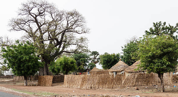 casas de africano - ziguinchor fotografías e imágenes de stock