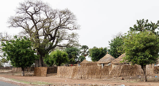 case africana - hut africa grass hut mud hut foto e immagini stock