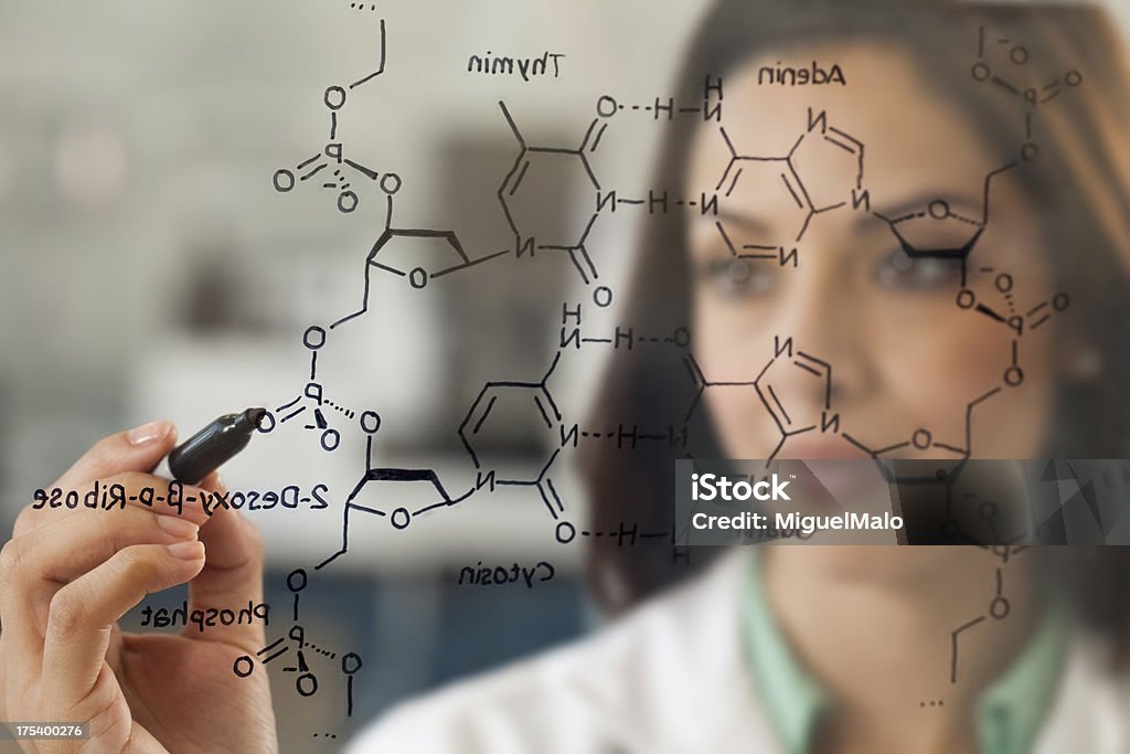 Cientista de laboratório trabalhando na estrutura de DNA - Royalty-free Biotecnologia Foto de stock