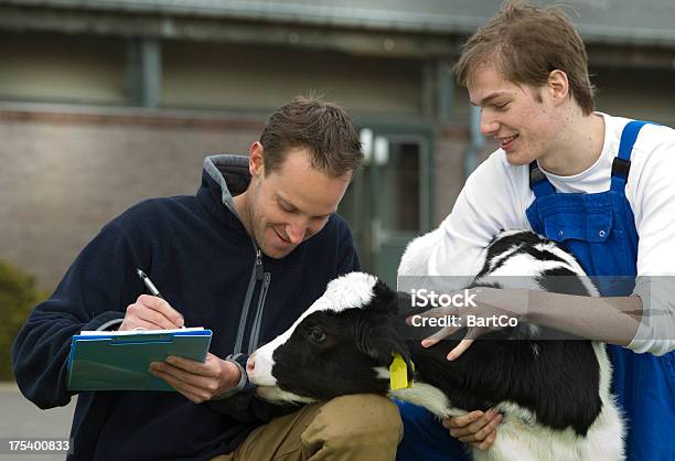 Farmer Mentor Y Capacitación Foto de stock y más banco de imágenes de Agricultura - Agricultura, Aprendiz, De ascendencia europea