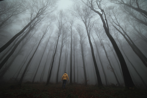 Young man tourist with backpack in red jacket enjoying his hiking trip through beautiful foggy footpath in the mountains of Appenzell region in Switzerland