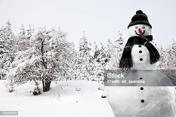 Boneco De Neve - Fotografias de stock e mais imagens de A nevar - A nevar, Ajardinado, Beleza natural