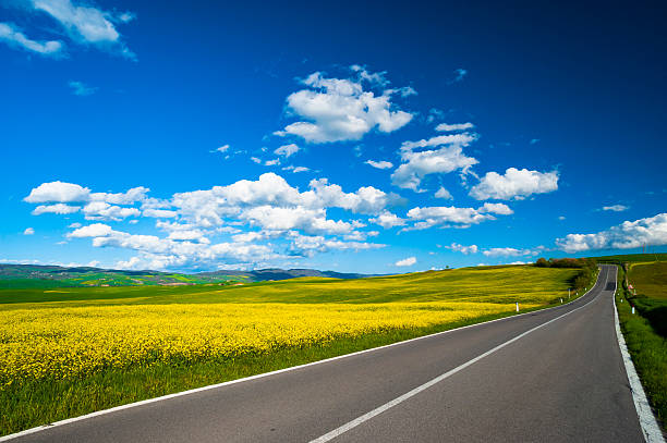 Road in Tuscany stock photo