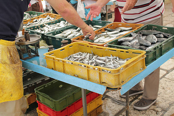 istock At the fish market 175401926