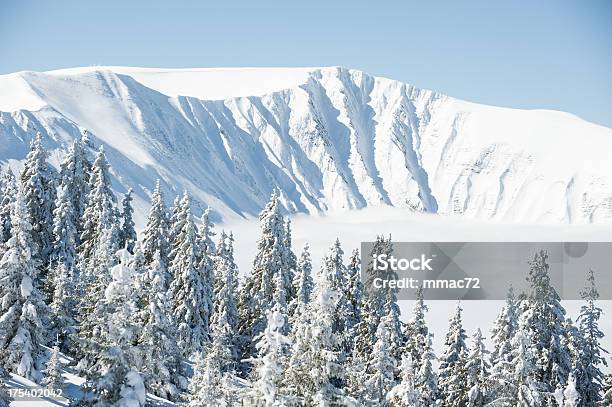 Foto de Árvores De Neve e mais fotos de stock de Esqui - Esqui e snowboard - Esqui - Esqui e snowboard, França, Alpes europeus