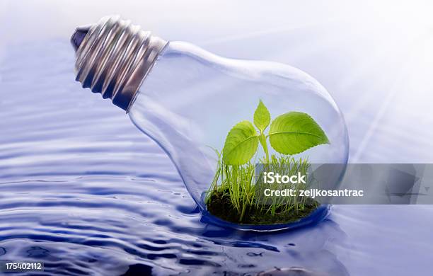 Green Energy Stock Photo - Download Image Now - Light Bulb, Nature, Blue