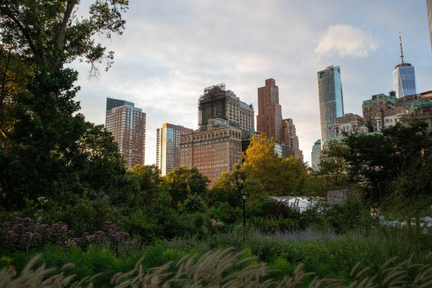 istock Skyline of Lower Manhattan 1754021470