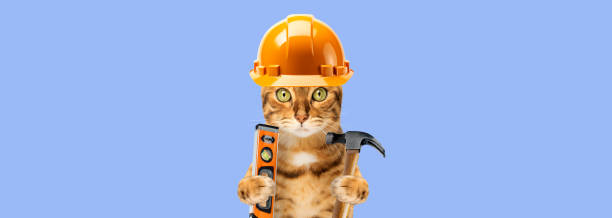istock Funny cat in a construction helmet on a blue background. 1754026492