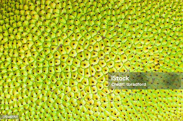 Closeup Di Una Montatura Completa Motivo Di Nangka Pelle - Fotografie stock e altre immagini di Appuntito