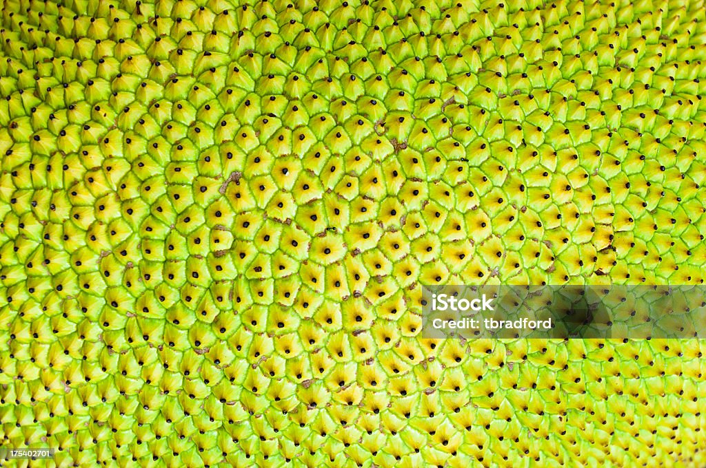 Close-up do padrão de quadro cheio de jaca pele - Foto de stock de Abstrato royalty-free