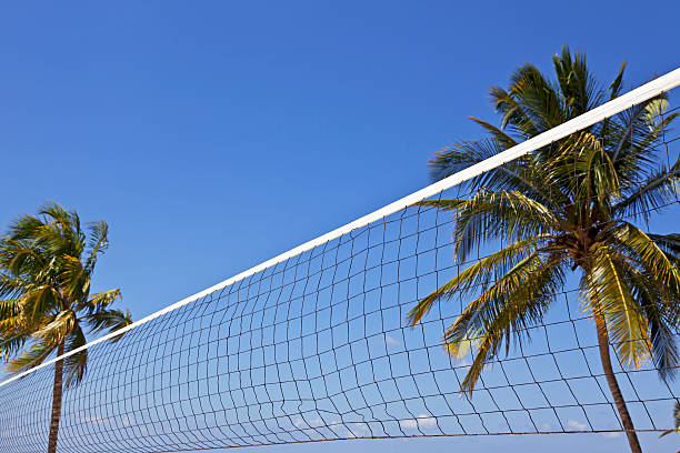 istock Beach volley net # 1 XXXL 175402893