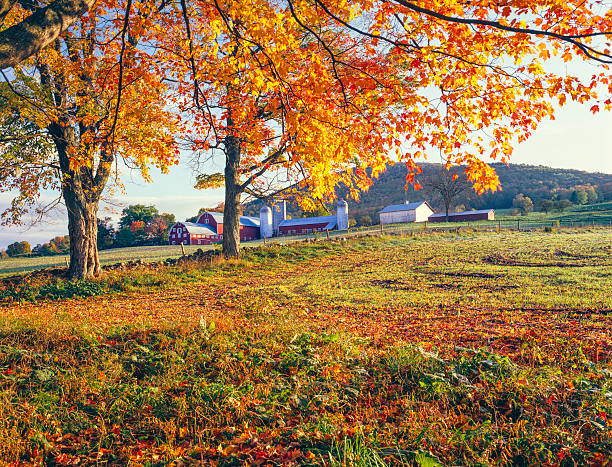 istock Autumn in New England 175403088