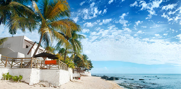 istock Coconut palms and beach at Mauritius 175403311