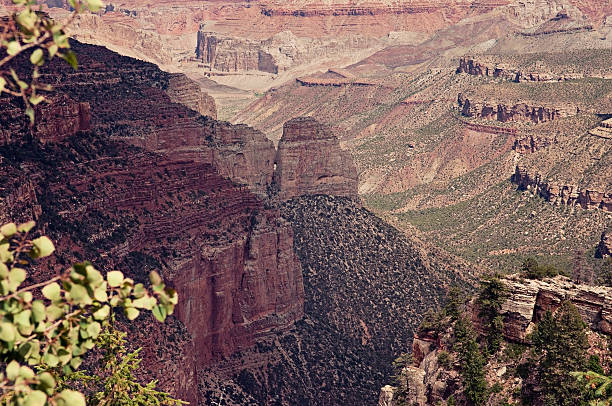 istock Grand Canyon North Rim 175403588