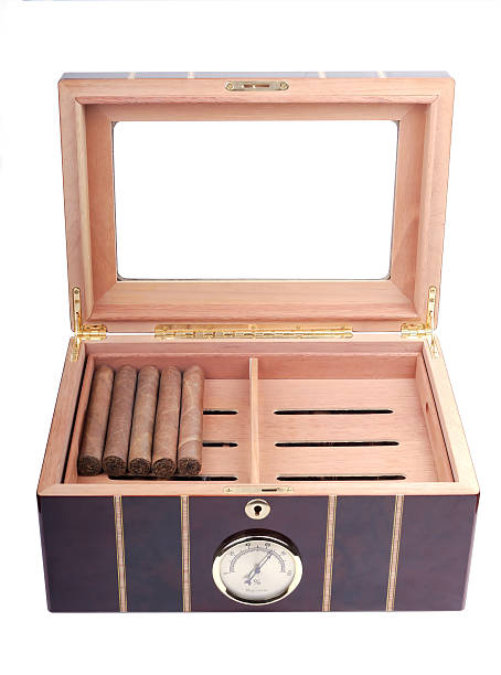 istock Cigars Inside of Open Humidor 175404075