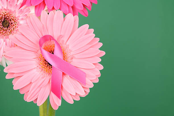 istock Breast Cancer Awareness Daisies 175404186