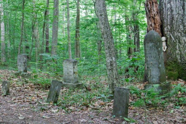istock The cemetery in the woods 1754043669