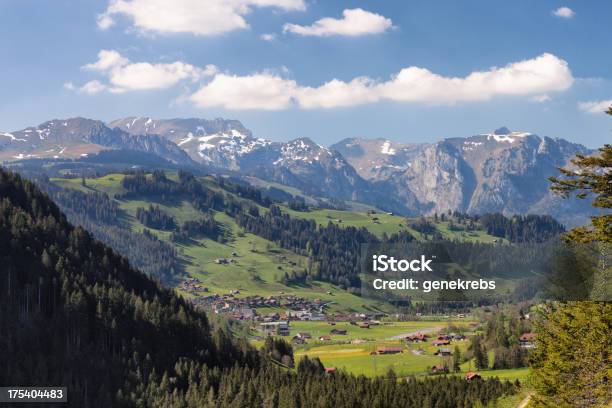 Zweisimmen Berneński Oberland Wiosennym Popołudniem Światło Słoneczne Mounta - zdjęcia stockowe i więcej obrazów Bydło Simmental