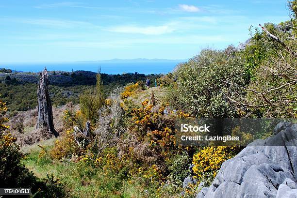 Foto de Homem Distantes Top De Takaka De Montanha Nova Zelândia e mais fotos de stock de Adulto