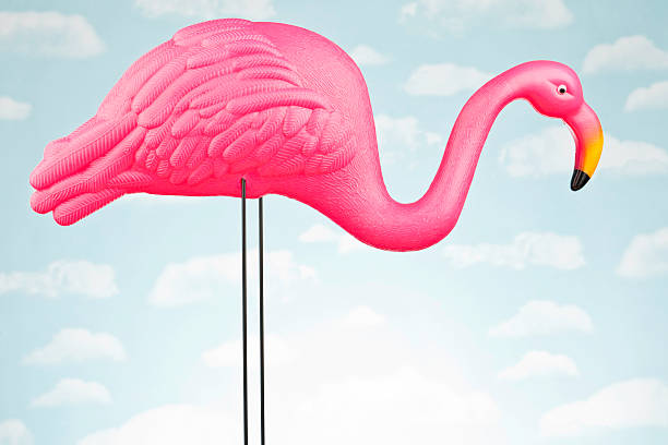 istock Male Pink Flamingo Against Sky 175404533