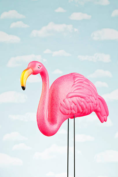istock Female Pink Flamingo Against Sky 175404665