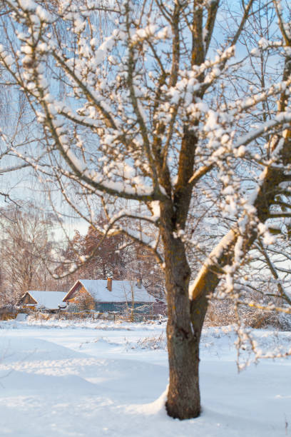 istock snowy winter rural landscape at sunset 1754050317