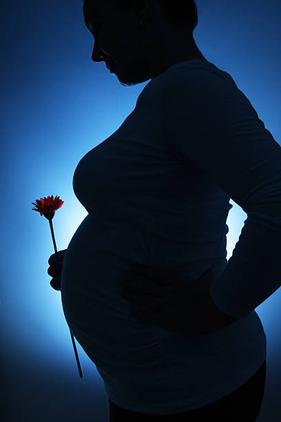 妊娠中の女性の花のシルエットを持つ、青色背景 - human pregnancy flash ストックフォトと画像