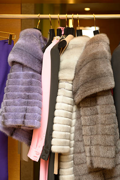 istock Designer fur and dress collection 175405313