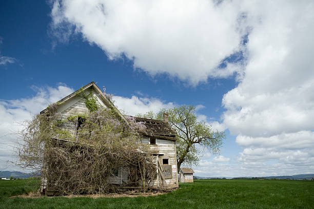 Verlassenen Farm House – Foto