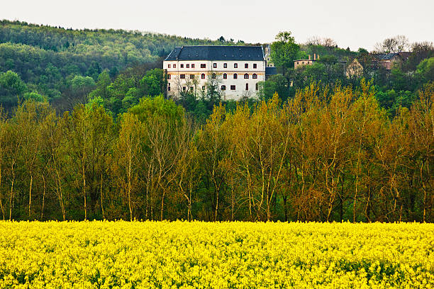 istock view at village Sachsenburg (Saxony, Germany) 175406175
