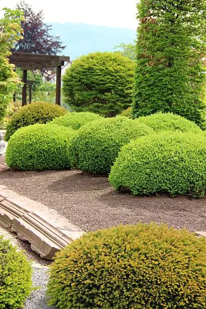 Gardendesign with buxus balls and yew balls