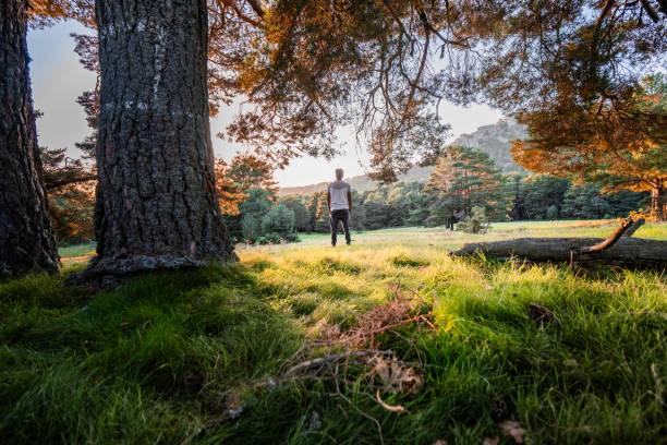 Wide angle of young explorer in autumn forest on a sunny day with reddish and orange colors.