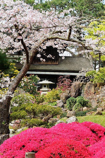 istock Japanese Tea Garden 175407535