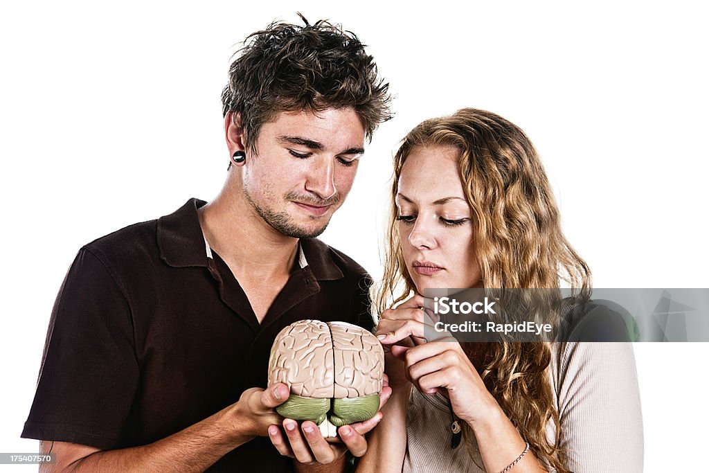 かわいい若いカップル研究モデルて人間の脳の - 20代のロイヤリティフリーストックフォト
