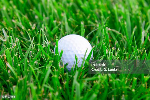 Piłka Do Golfa Na Niespokojnym - zdjęcia stockowe i więcej obrazów Piłka do golfa - Piłka do golfa, Tymotka, Bez ludzi