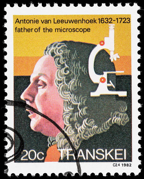 istock Antonie van Leeuwenhoek postage stamp 175407963