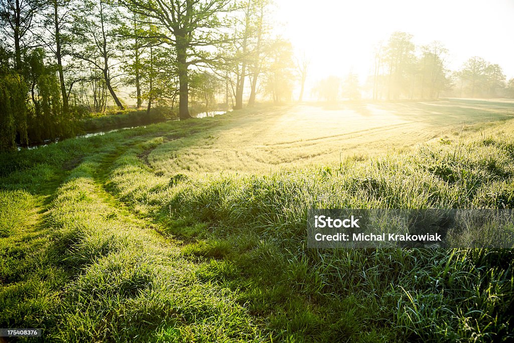 Matin sur prairie - Photo de Lever du soleil libre de droits