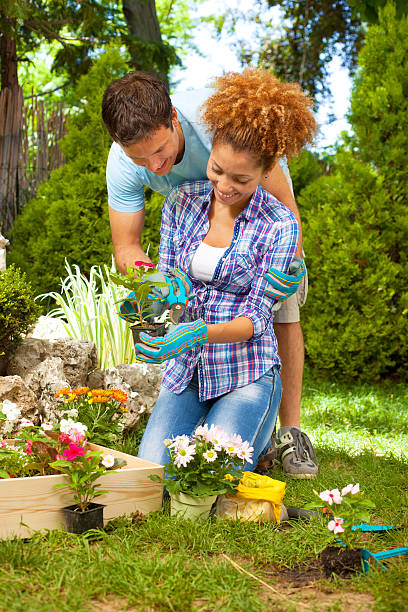 Young Couple Planting a Flower Young Cheerful Couple planting a flower in a house garden together. They are preserving their home environment. Man assisting to woman and embracing her. couple hope sky blue stock pictures, royalty-free photos & images