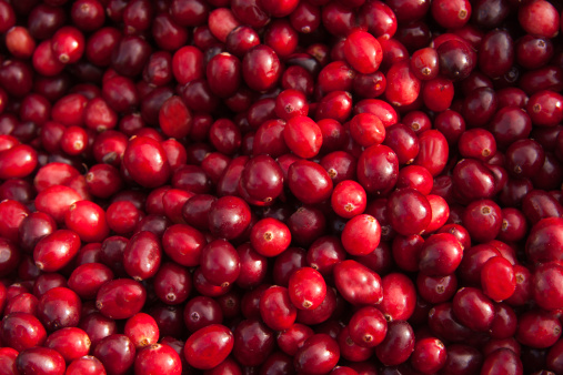Fresh Cranberries photographed from directly above.