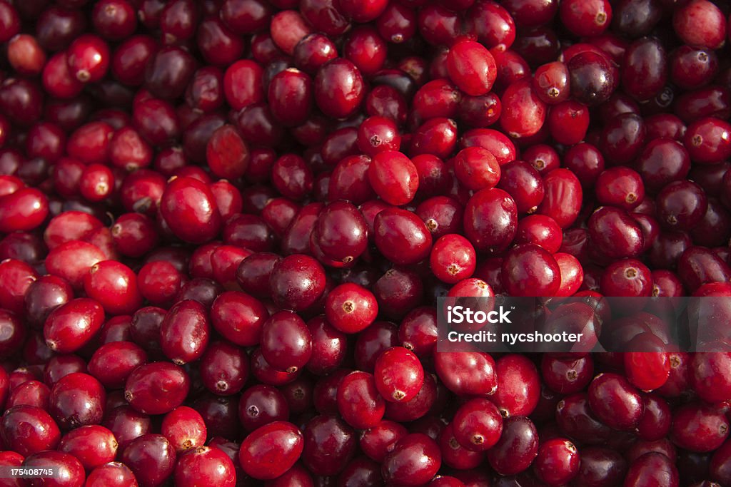 Fresh Cranberry background Fresh Cranberries photographed from directly above. Cranberry Stock Photo